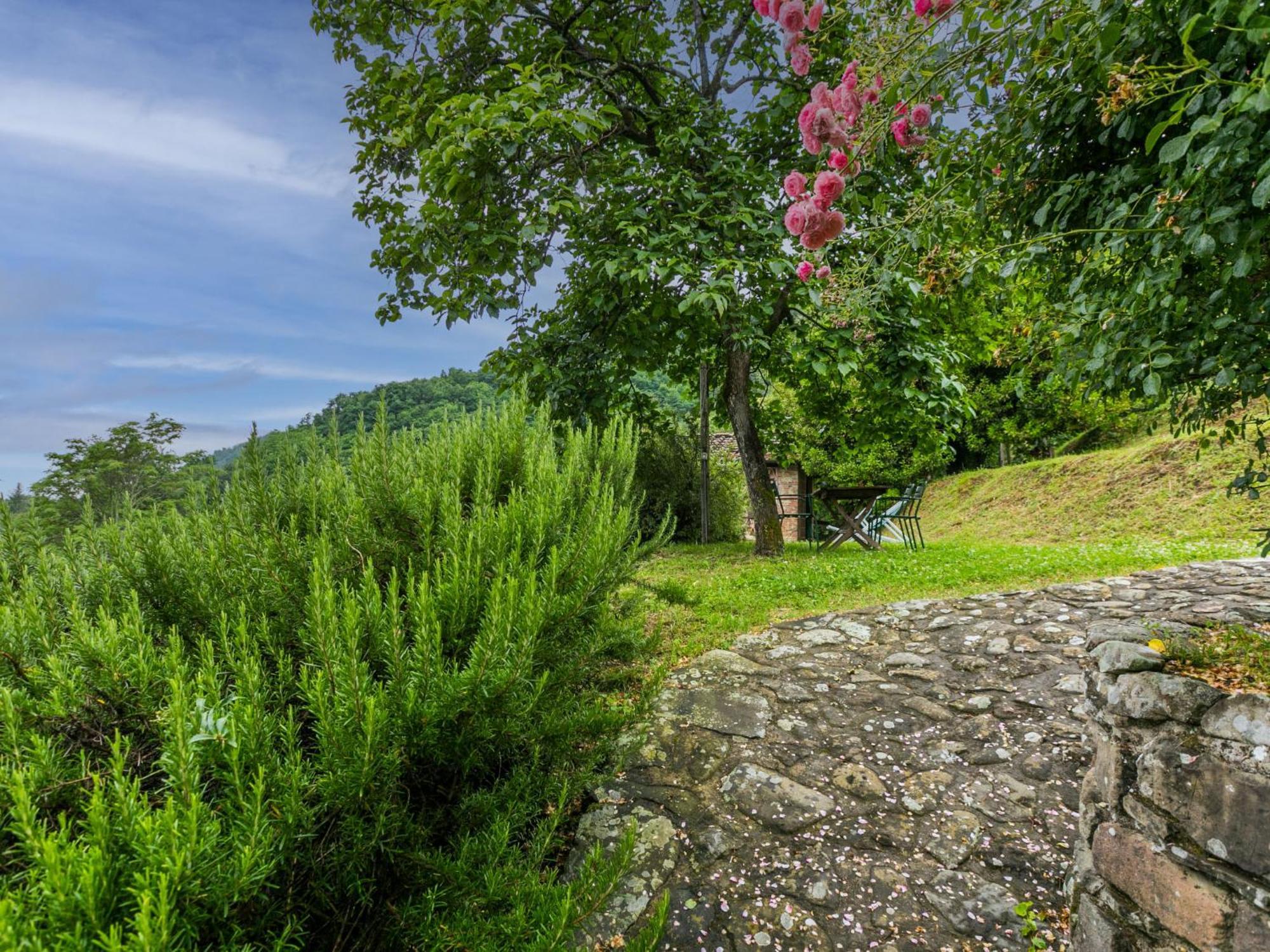 Holiday Home Podere Piastriccio By Interhome Medicina  Zewnętrze zdjęcie